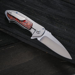 Anthony Brett Schaller Delphi flipper