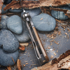 Mike Shiffer Bowie Mini Mastodon