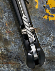 Rockstead SHIN Polished DLC with Stingray Inlay - Free Shipping